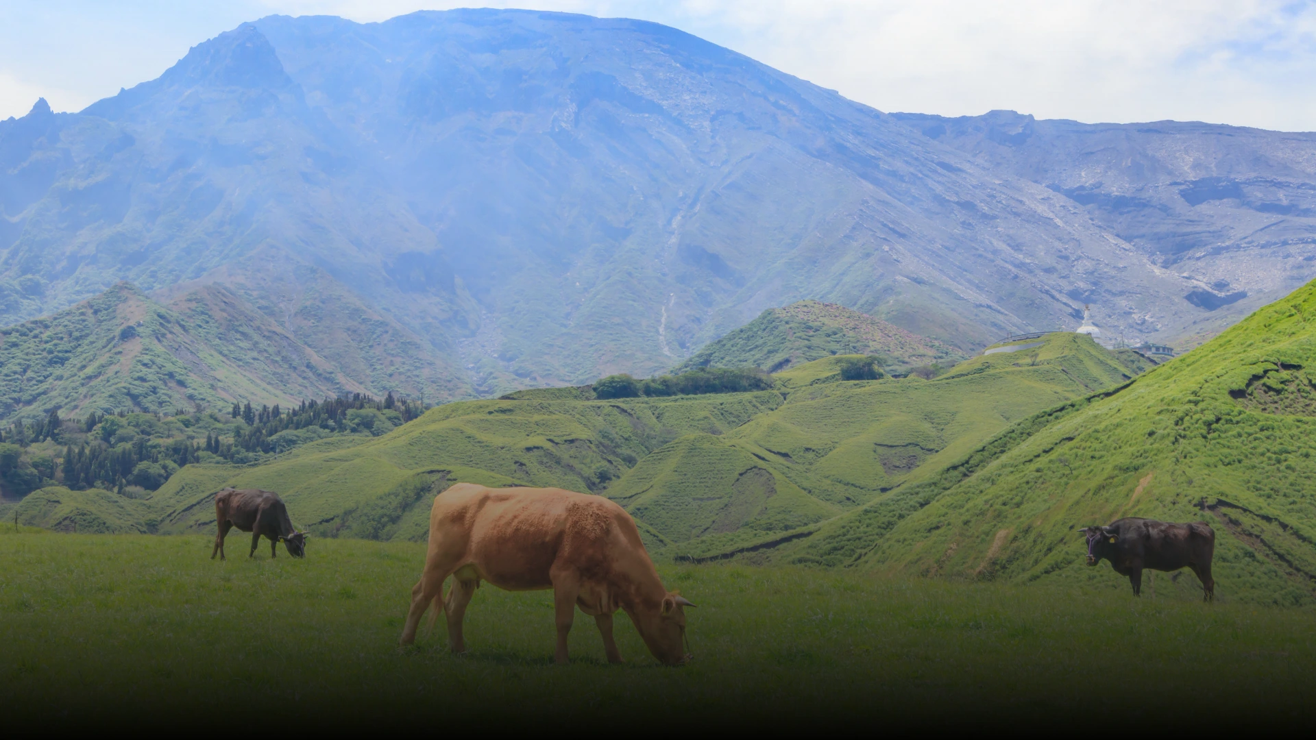 阿蘇の自然や風景をモチーフにしたASOFORETのブランドストーリービジュアル